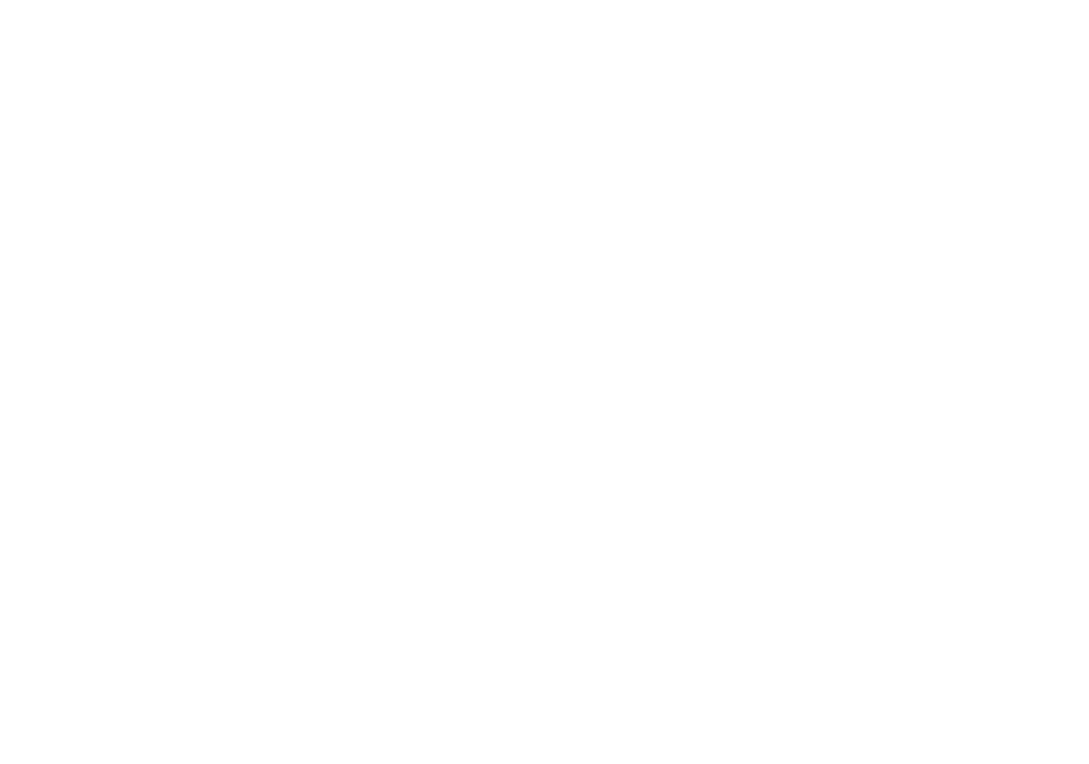 MercurioGroup