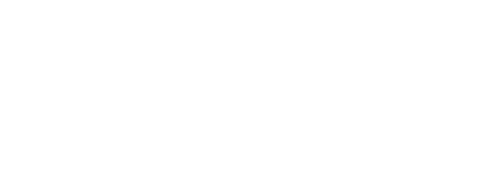 Navesur