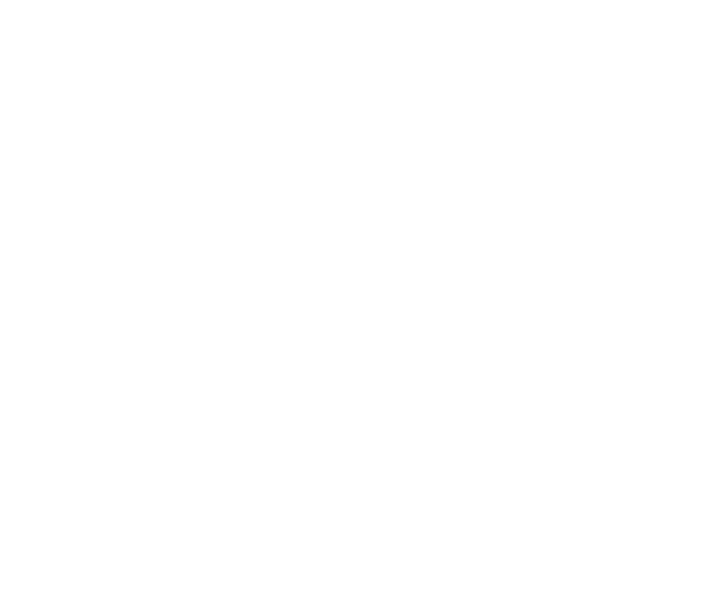 PuertoFenix